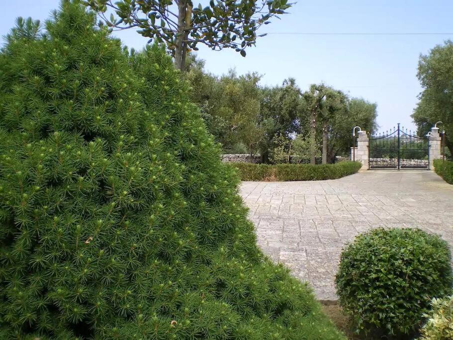 Trulli Giulivi Βίλα Locorotondo Εξωτερικό φωτογραφία